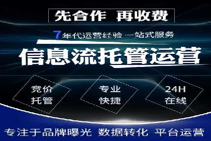 金融行业SEM服务的创新应用与效果